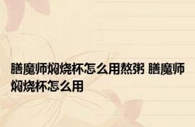 膳魔师焖烧杯怎么用熬粥 膳魔师焖烧杯怎么用