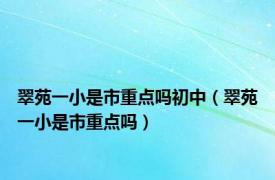 翠苑一小是市重点吗初中（翠苑一小是市重点吗）