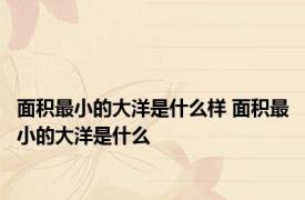 面积最小的大洋是什么样 面积最小的大洋是什么