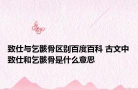 致仕与乞骸骨区别百度百科 古文中致仕和乞骸骨是什么意思