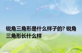 锐角三角形是什么样子的? 锐角三角形长什么样