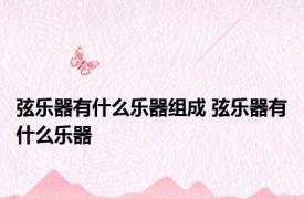 弦乐器有什么乐器组成 弦乐器有什么乐器