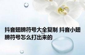 抖音翅膀符号大全复制 抖音小翅膀符号怎么打出来的