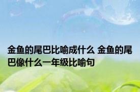 金鱼的尾巴比喻成什么 金鱼的尾巴像什么一年级比喻句