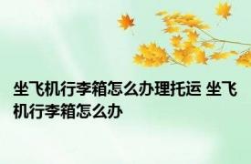 坐飞机行李箱怎么办理托运 坐飞机行李箱怎么办