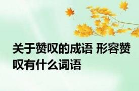 关于赞叹的成语 形容赞叹有什么词语