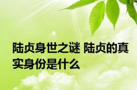 陆贞身世之谜 陆贞的真实身份是什么