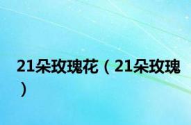 21朵玫瑰花（21朵玫瑰）