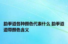 跆拳道各种颜色代表什么 跆拳道道带颜色含义
