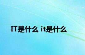 IT是什么 it是什么