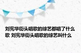 刘宪华街头唱歌的综艺都唱了什么歌 刘宪华街头唱歌的综艺叫什么