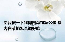 给我搜一下猪肉白菜馅怎么做 猪肉白菜馅怎么调好吃