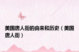 美国唐人街的由来和历史（美国唐人街）