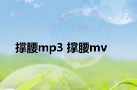 撑腰mp3 撑腰mv 