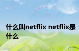 什么叫netflix netflix是什么