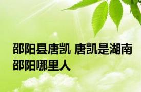 邵阳县唐凯 唐凯是湖南邵阳哪里人