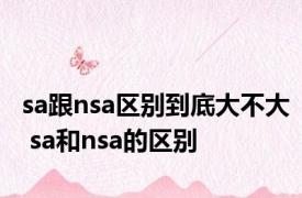 sa跟nsa区别到底大不大 sa和nsa的区别