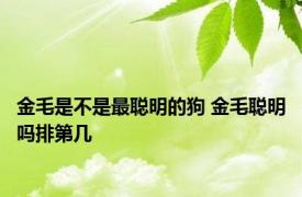 金毛是不是最聪明的狗 金毛聪明吗排第几