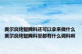 奥尔良烤翅腌料还可以拿来做什么 奥尔良烤翅腌料里都有什么调料啊