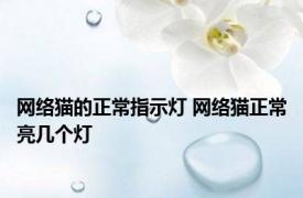 网络猫的正常指示灯 网络猫正常亮几个灯
