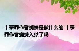 十宗罪作者蜘蛛是做什么的 十宗罪作者蜘蛛入狱了吗