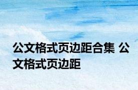 公文格式页边距合集 公文格式页边距