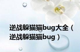 逆战躲猫猫bug大全（逆战躲猫猫bug）