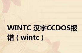 WINTC 汉字CCDOS报错（wintc）