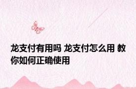 龙支付有用吗 龙支付怎么用 教你如何正确使用
