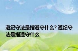 遵纪守法是指遵守什么? 遵纪守法是指遵守什么