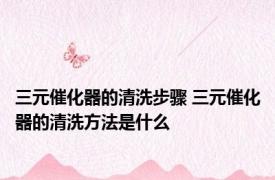 三元催化器的清洗步骤 三元催化器的清洗方法是什么