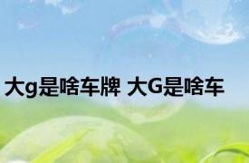 大g是啥车牌 大G是啥车