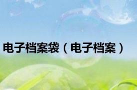 电子档案袋（电子档案）