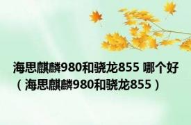海思麒麟980和骁龙855 哪个好（海思麒麟980和骁龙855）
