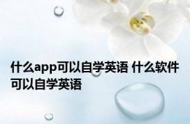 什么app可以自学英语 什么软件可以自学英语