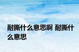 耐撕什么意思啊 耐撕什么意思