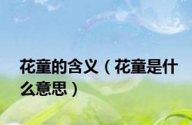 花童的含义（花童是什么意思）