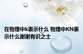 在物理中k表示什么 物理中KN表示什么谢谢有识之士