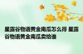 星露谷物语黄金南瓜怎么得 星露谷物语黄金南瓜卖给谁