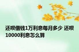 还呗借钱1万利息每月多少 还呗10000利息怎么算