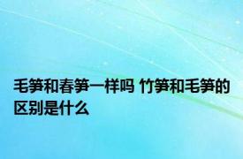 毛笋和春笋一样吗 竹笋和毛笋的区别是什么