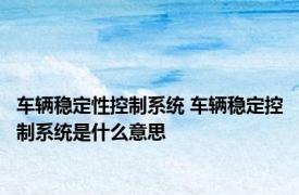 车辆稳定性控制系统 车辆稳定控制系统是什么意思