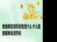 数据库应用系统包括什么 什么是数据库应用系统