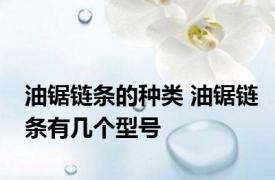 油锯链条的种类 油锯链条有几个型号