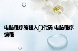 电脑程序编程入门代码 电脑程序编程 