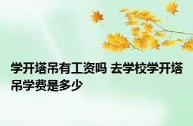 学开塔吊有工资吗 去学校学开塔吊学费是多少