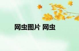 网虫图片 网虫 