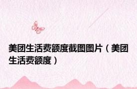 美团生活费额度截图图片（美团生活费额度）