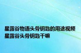 星露谷物语头骨钥匙的用途视频 星露谷头骨钥匙干嘛