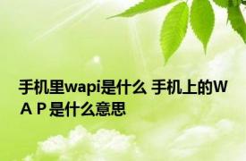 手机里wapi是什么 手机上的ＷＡＰ是什么意思